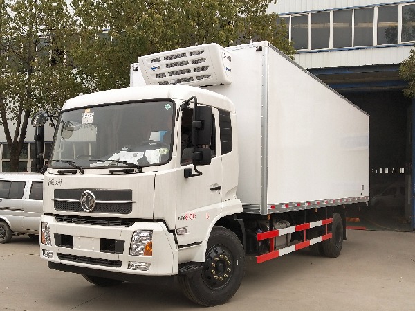 4x2 DONGFENG Refrigerator Truck