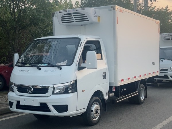Mini DONGFENG Refrigerated Truck